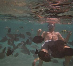 Schnorchel, Ein Genuss