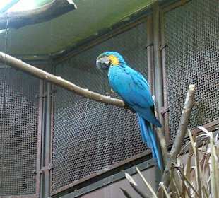 Zoo Brno
