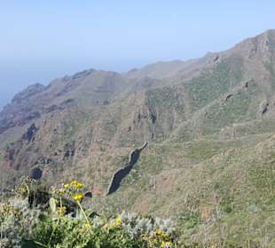 Mirador de Baracan in Buenavista del Norte