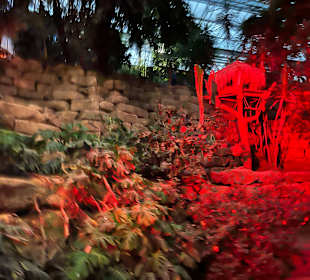 Mondo Verde Halloween