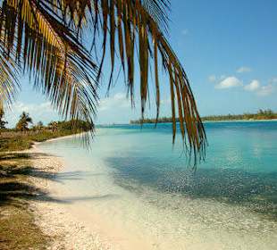 Jednodniowa wycieczka Cayo Largo 