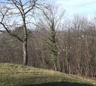 Weinbergturm