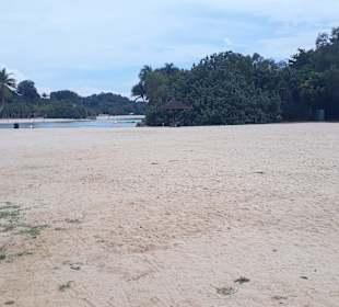 Palawan Beach