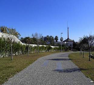 Höhe Kamelya World