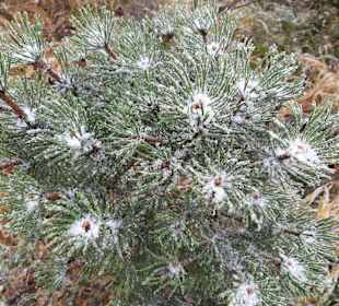 Wandern Oberwiesenthal