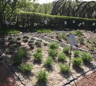 Gartenschau
