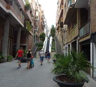 Anstrengender Aufstieg