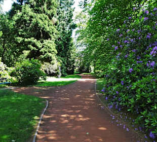 Sommeranfang im Schlossgarten Oldenburg
