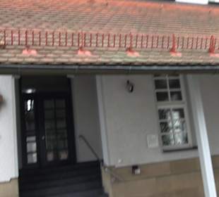 Katholische Kirche St. Franziskus