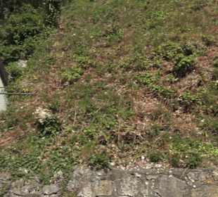 Burgruine Rechtenstein