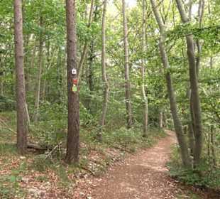 Hochgeträumt Premiumwanderung