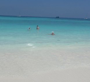 Ausflug nach Koh Tachai - ein Traum!