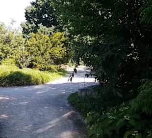 Botanischer Garten 