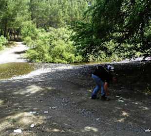 Der noch junge Asparan Cay