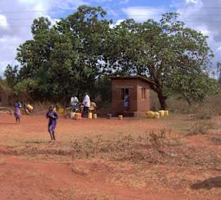 Wasserstelle im Busch