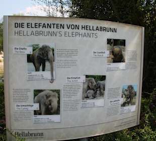 Tierpark Hellabrunn