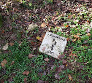 Ameisen Barfußpfad Pfotenabdrücke