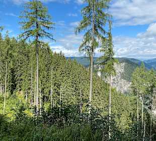 Wandern Schladming