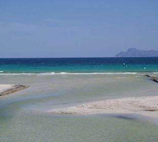 Alcudia morze