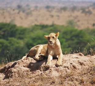 Safari Taita Hills