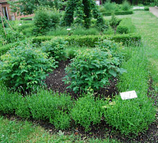 Kräutergarten