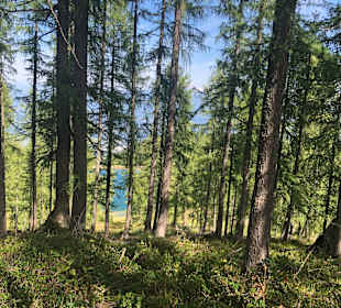 Wandern Obersammelsdorf