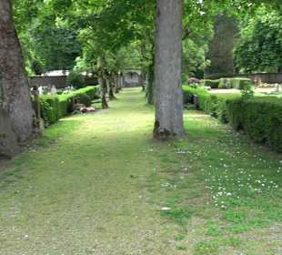 Alter Friedhof