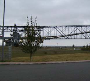 Sie ist nicht auf 1 Foto zu bekommen 