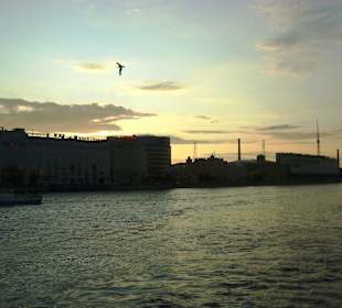 Rzeka Newa