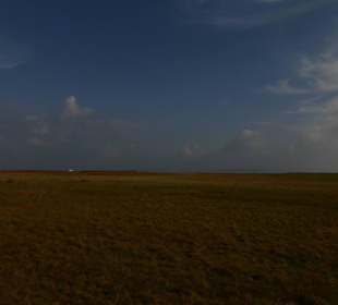 Hiddensee am Gellen Blick zum Bodden im Oktober