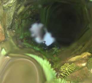 Bürgerhaus Zehntscheuer