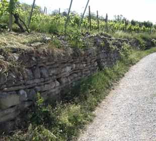 Früchtetrauf - Wurmlinger Kapellenwegle