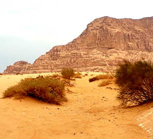 Wüstenlandschaft Wadi Rum