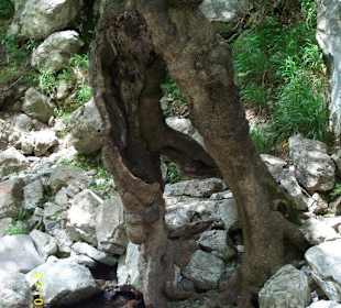 Sapadere-Canyon-Alanya