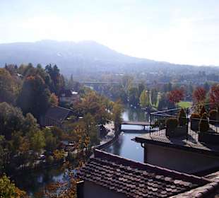 Blick auf die Aare