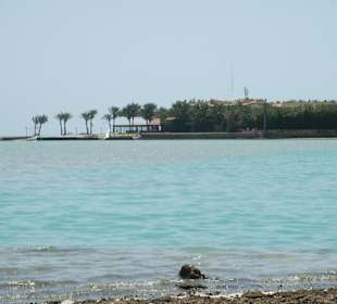 Zeytouna Beach