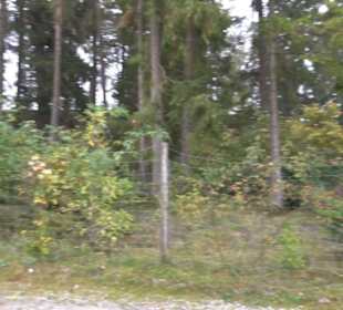 Erlebnisbauernhof und Wildgehege