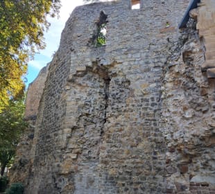  Schloß Alzey in Alzey, Deutschland 