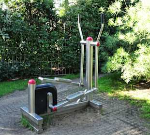 Eindrücke vom Rundgang durch den Grasbrookpark