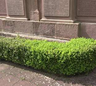 Herz-Jesu-Kirche Lützenhardt