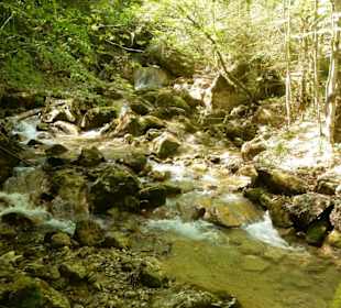 Rinnerberger Bach