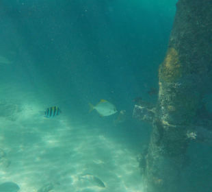 Schnorcheln Hurghada