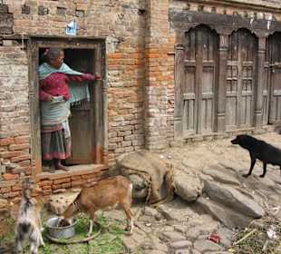House on the main street