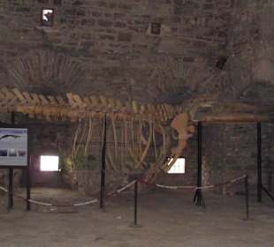 Ausstellung in der Burg