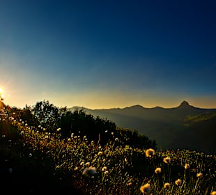 Wandern Damüls