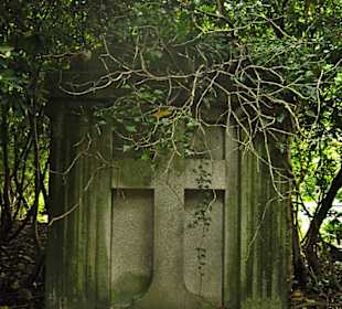 Кладбище Ольсдорф, Гамбург, 16 сентября 2013 года