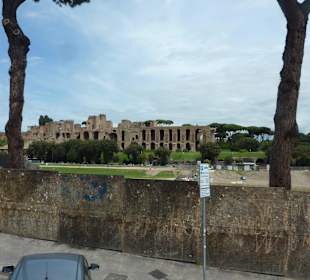 Im Hintergrund Palatine Hill