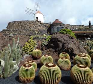 Blick auf die Mühle