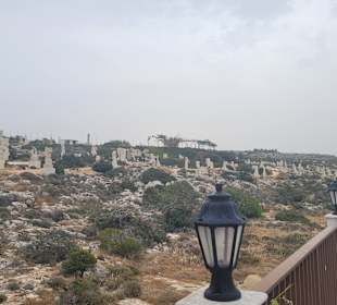 Skulpturenpark