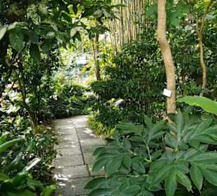 Botanischer Garten